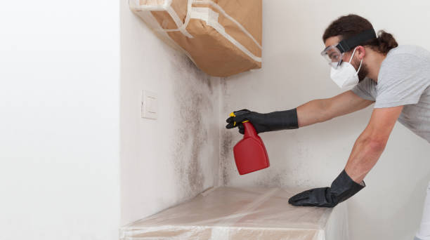 Professional Crawl Space Mold Removal technician working in Street, MD